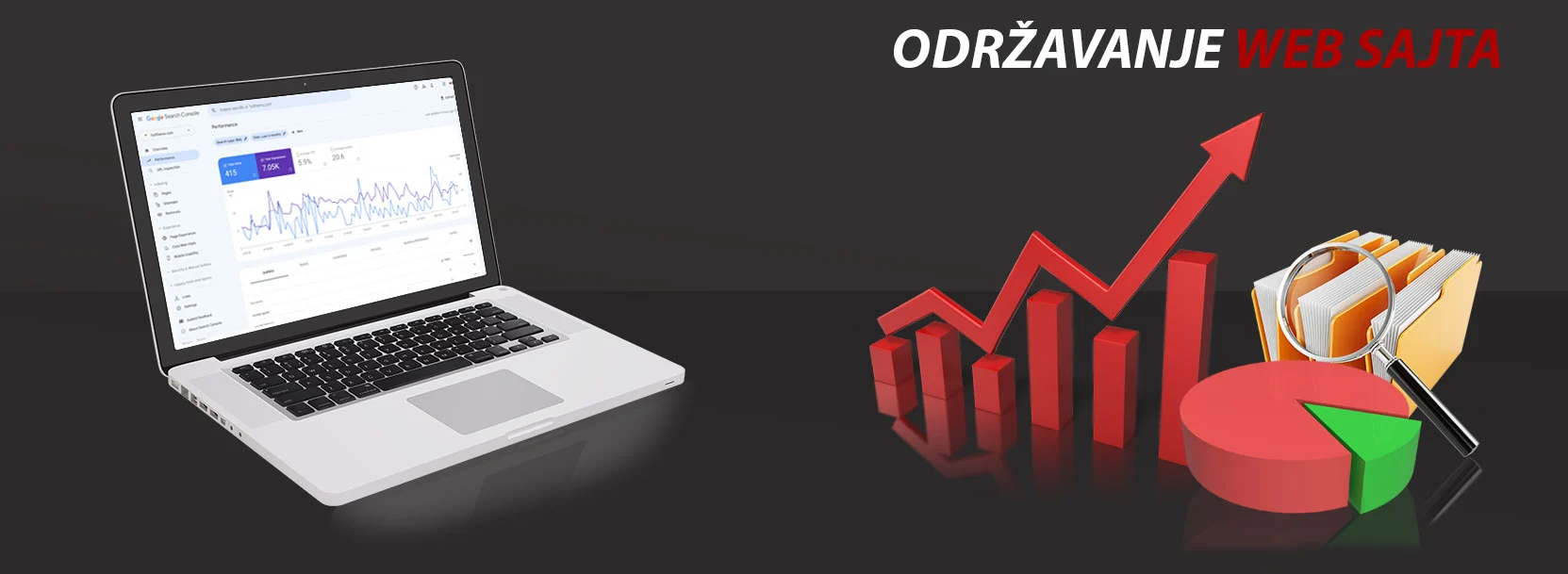 Odrzavanje web sajta naslovna